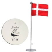 studenter gave