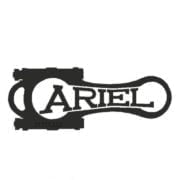 Ariel