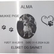 Mindeplade til dyr